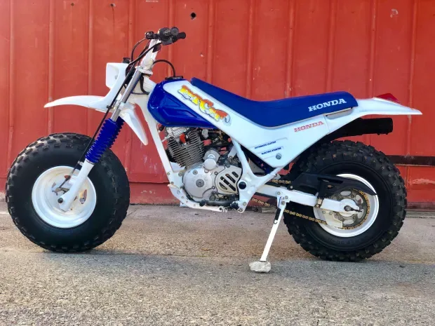 How Much Should You Pay for a Honda Fat Cat TR200? 1987 model sold on Bring a Trailer