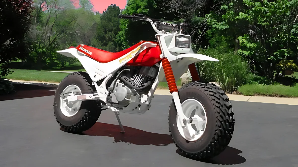 How Much Should You Pay for a Honda Fat Cat TR200? Honda Fat Cat TR200