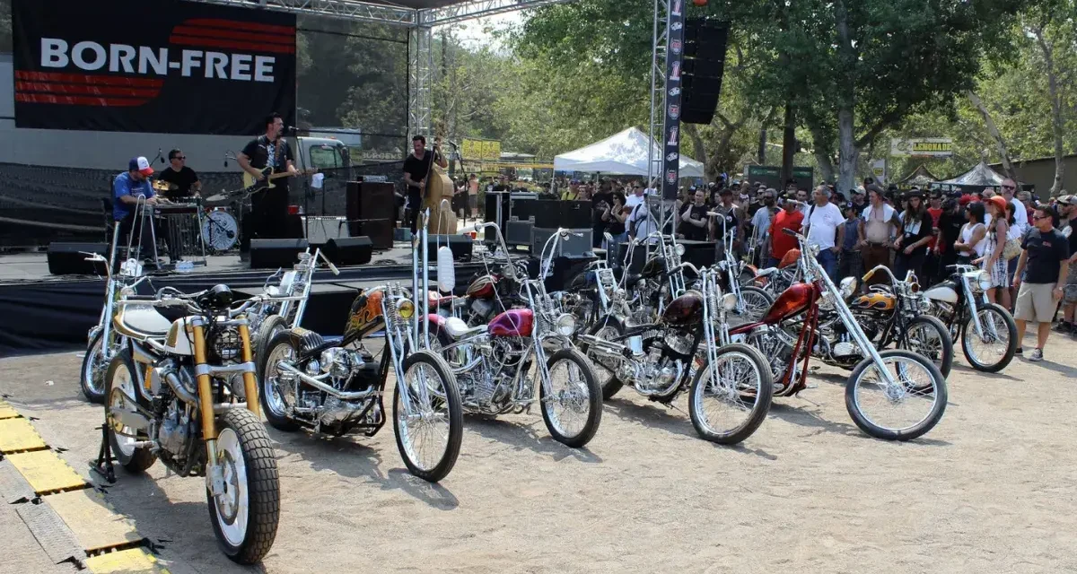 Tips for Winning the Born-Free 2025 Harley Giveaway