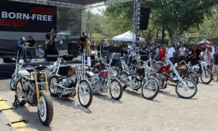 Tips for Winning the Born-Free 2025 Harley Giveaway
