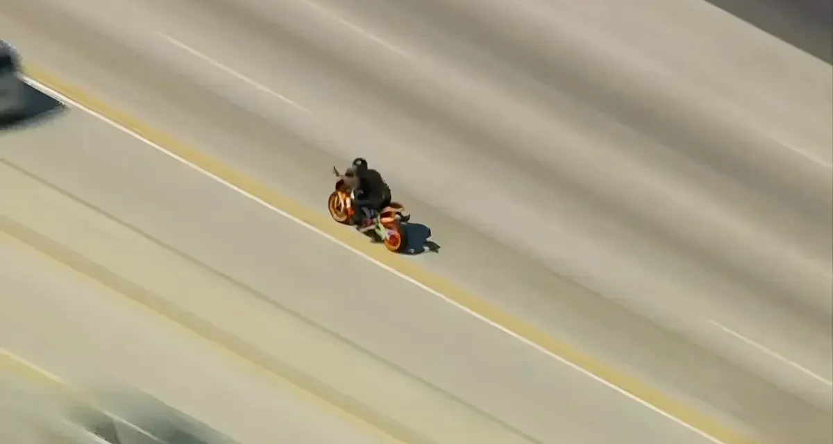 Viral ‘Motorcycle Pursuit Mom Died’ Video Sparks Debate