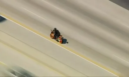Viral ‘Motorcycle Pursuit Mom Died’ Video Sparks Debate